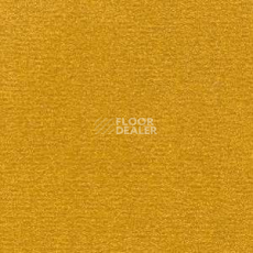 Ковролин Radici Nexus Senape 2429 фото 1 | FLOORDEALER